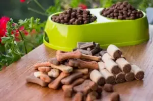 חטיפים לכלבים