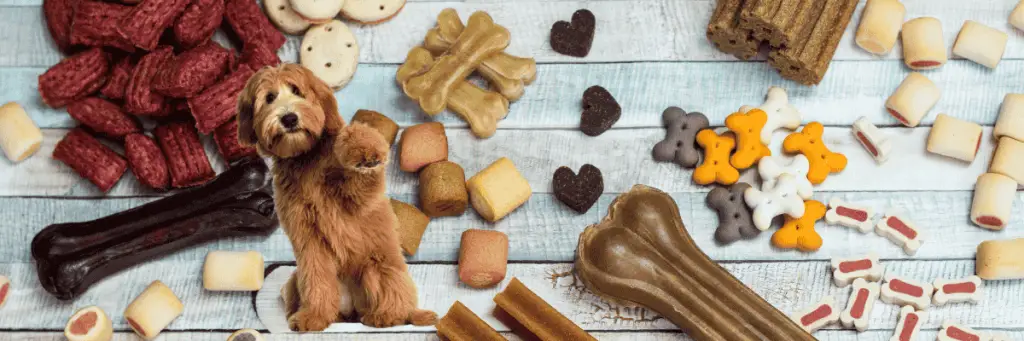 בחירת מזון מתאים המפתח לפרווה מבריקה ובריאה