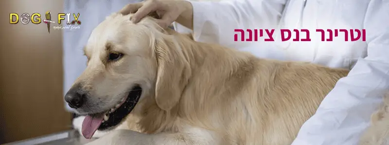 וטרינר בנס ציונה